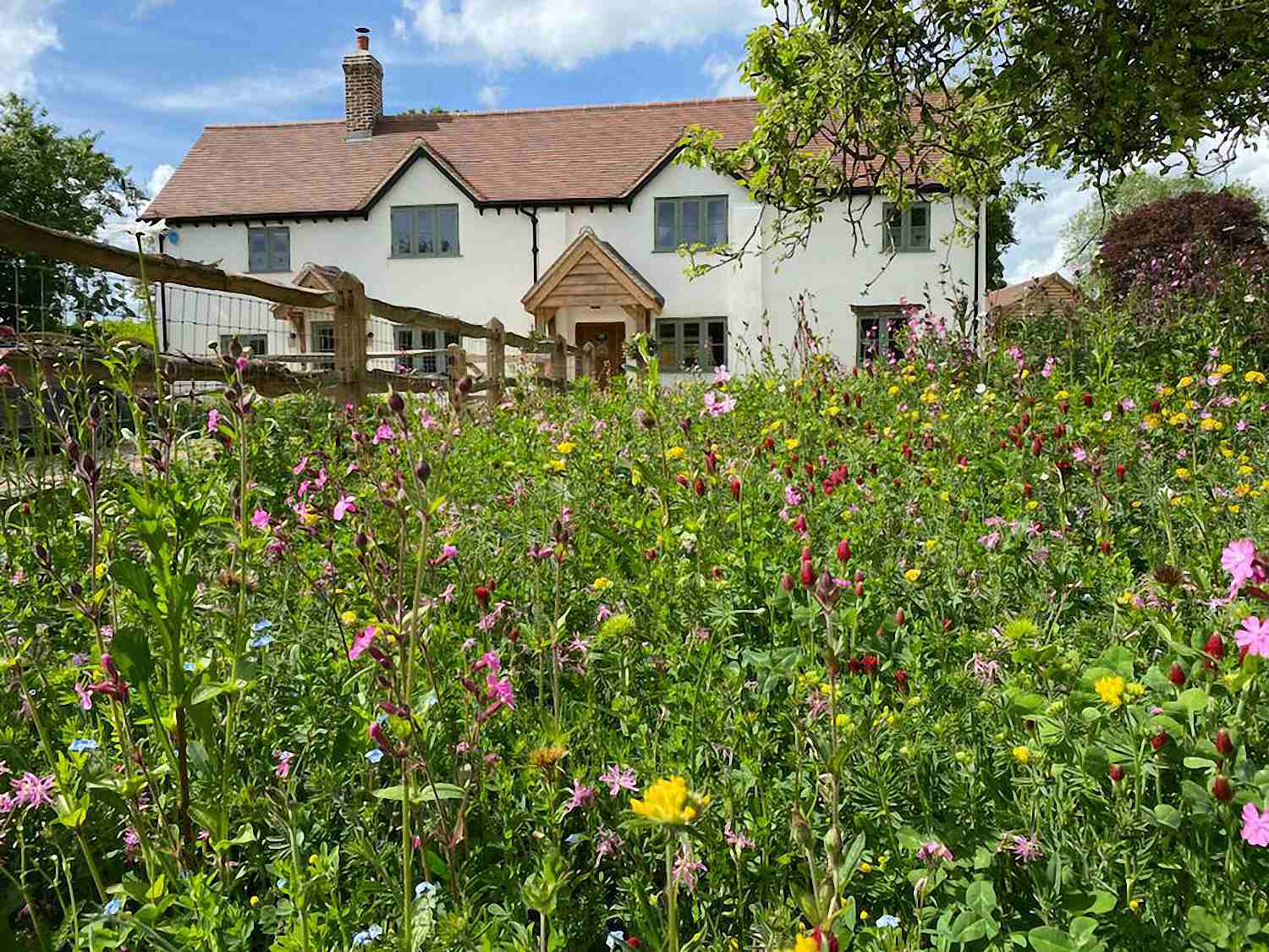 Wild Flower Meadow Wild Flower Meadow